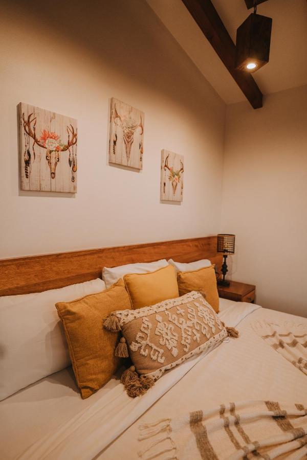 Oasis 444 Hotel San Marcos  Kültér fotó